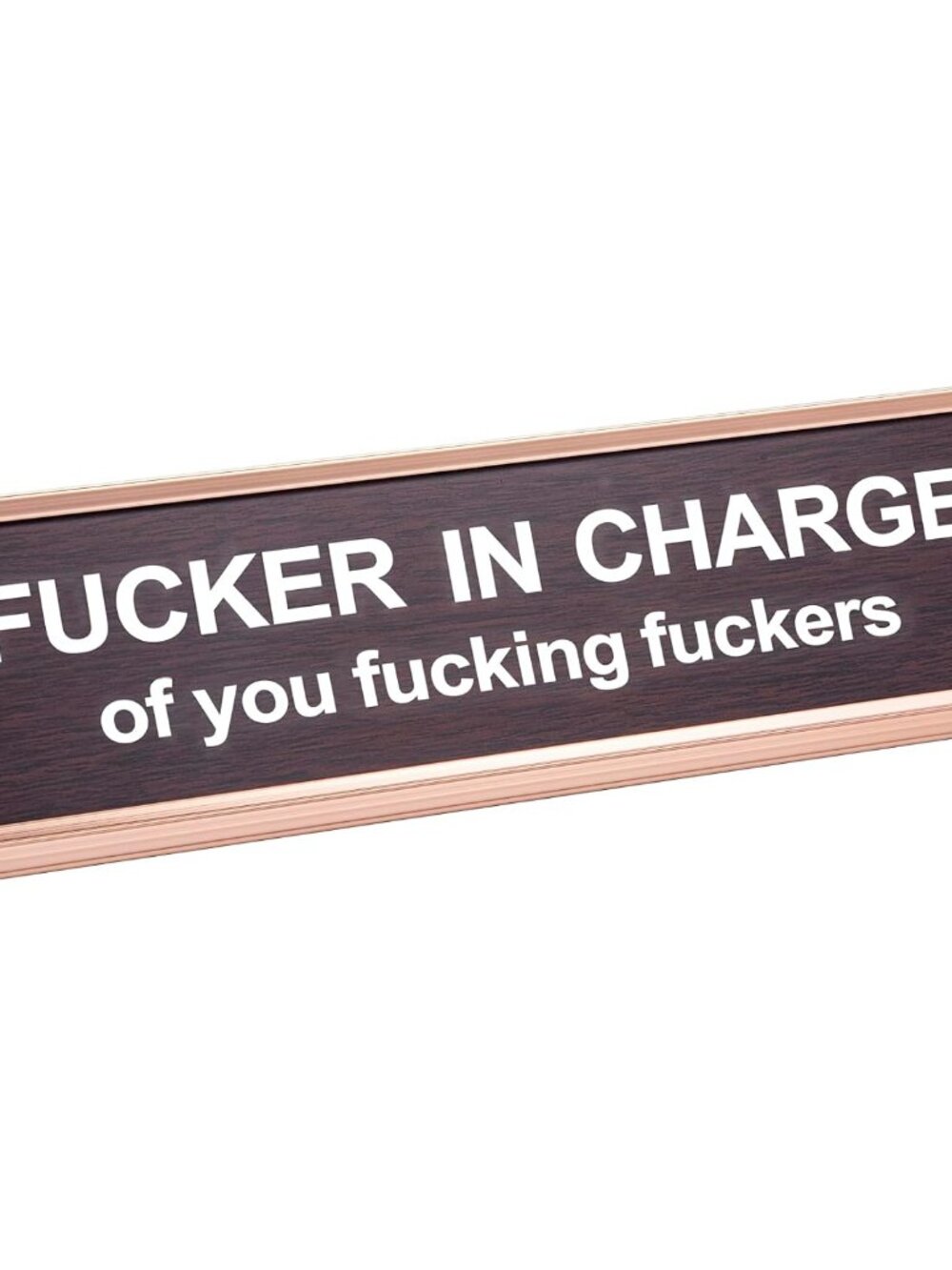 Fucker in Charge of You Fucking Fucks Funny Desk Plate Sign 2" × 8" Wooden Plate